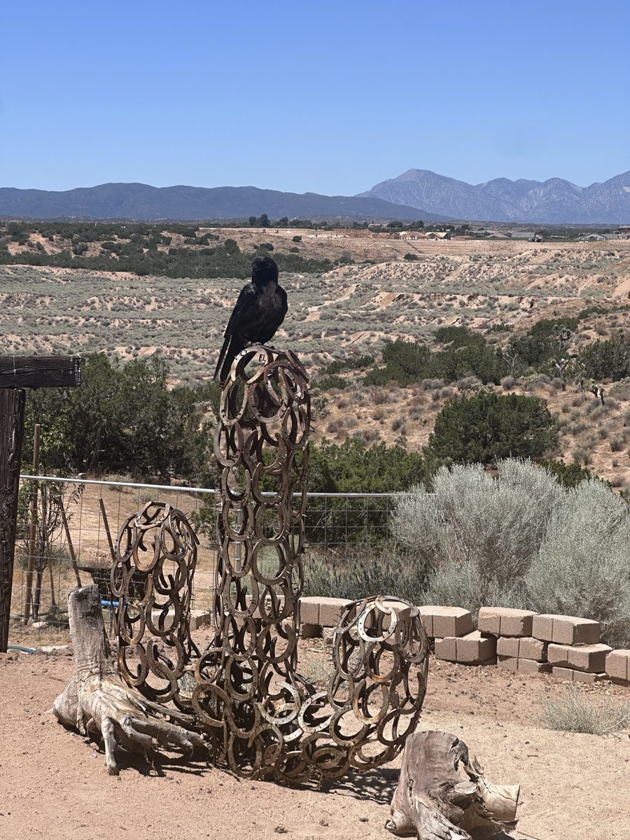 A raven perched on a sculpture of stacked horseshoes, with high desert hills and mountains behind